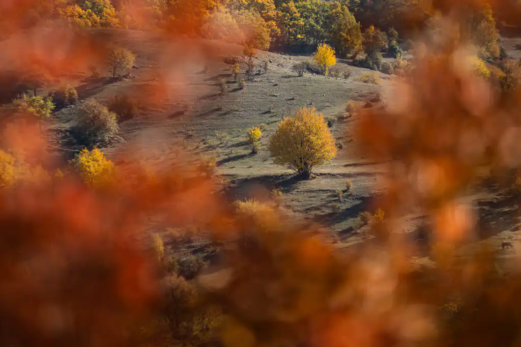 Rhodope mountains - Bulgaria photography tour
