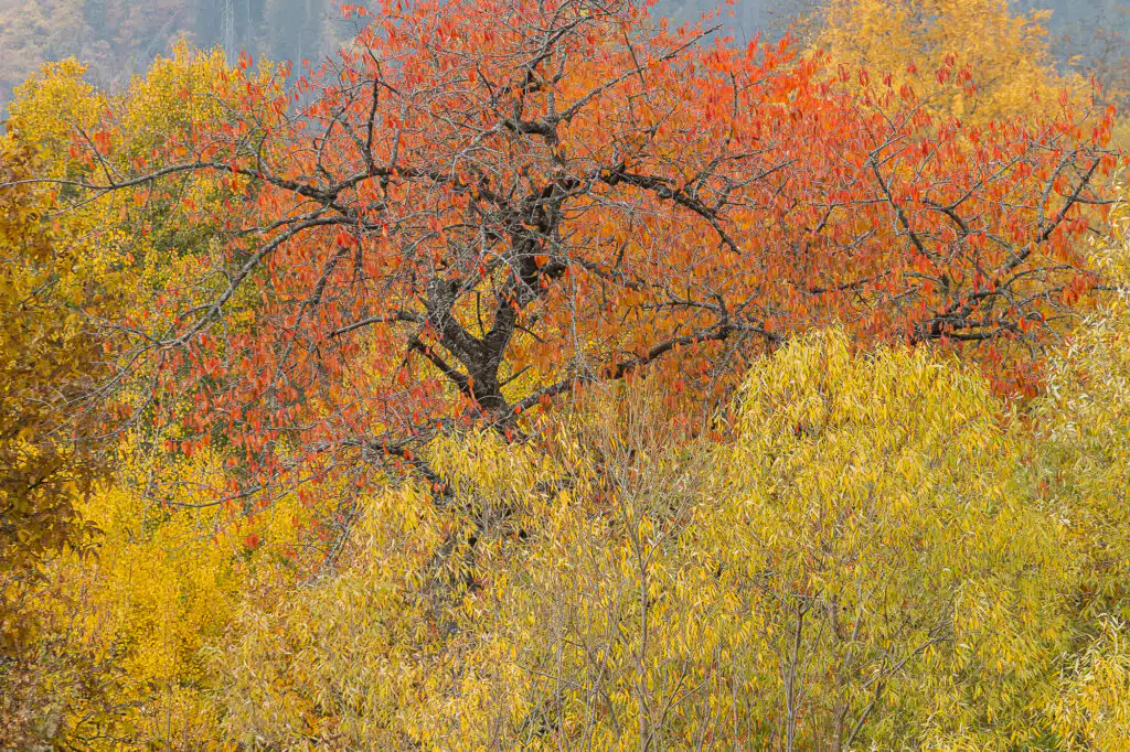 Rhodope mountains - Bulgaria photography tour