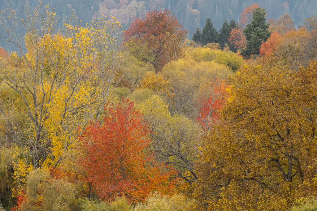 Rhodope mountains - Bulgaria photography tour