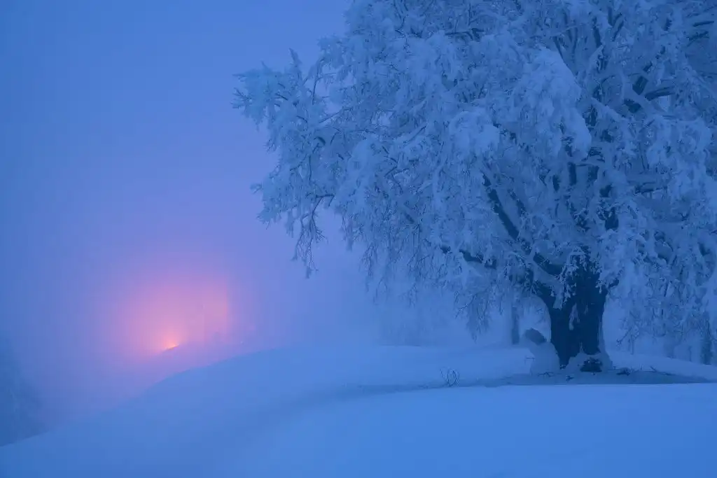 Blue hour time. A small hilltop church is glowing in the fog in winter, Slovenia