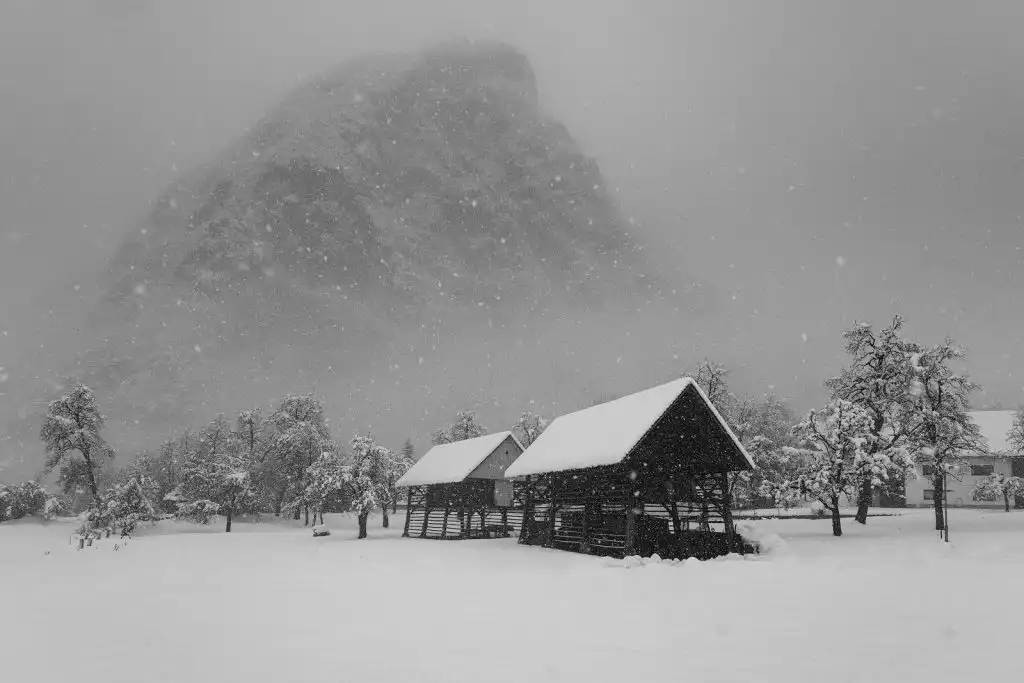 Traditional hayracks near Lake Bohinj, Slovenia