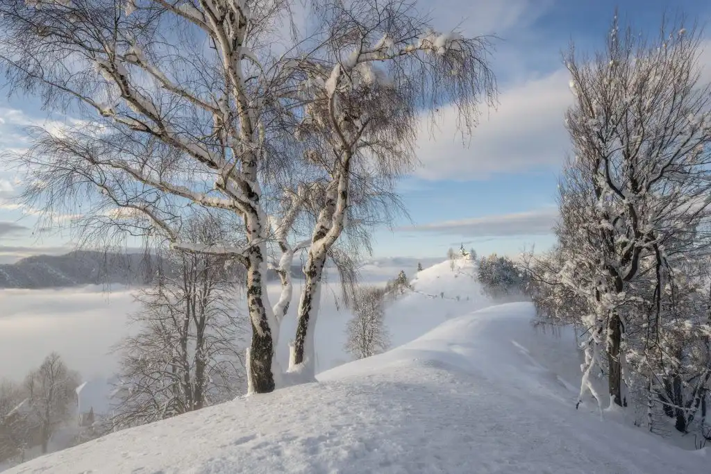 Yet another hilltop church in Slovenia - Winter season