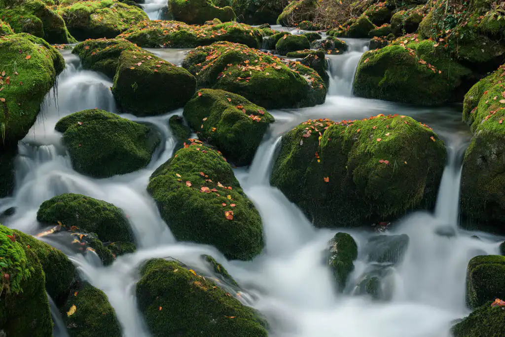 Slovenia photography tour in Triglav national park