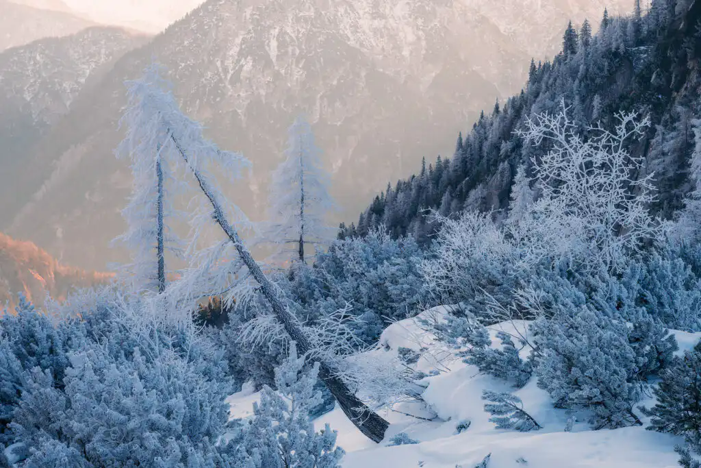 Amazing winter conditions in Julian Alps