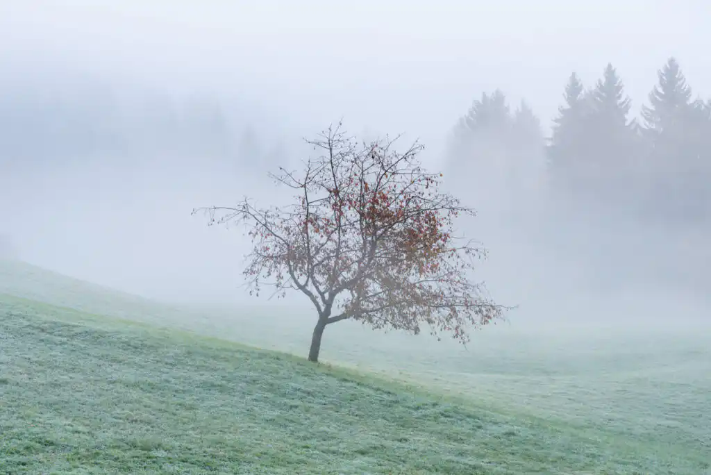 Slovenia photography tour in Fall